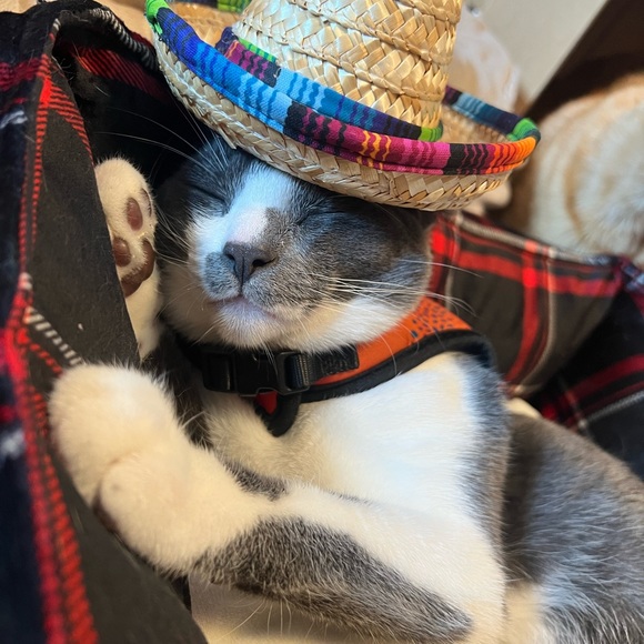 sombrero straw hat for dolls *BRAND NEW - Picture 3 of 5